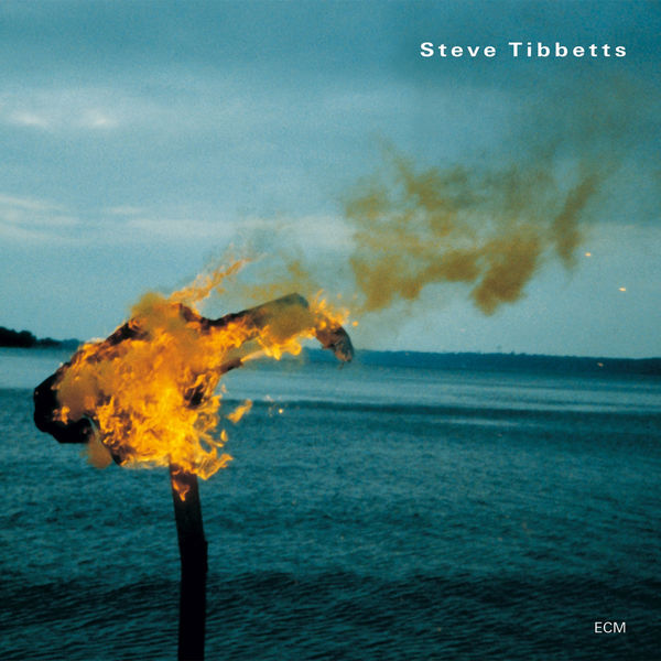 Steve Tibbetts - A Man About A Horse Steve Tibbetts - A Man About A Horse