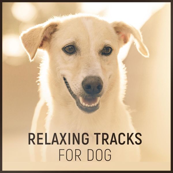 Dog Music - Relaxing Tracks for Dog – Natural Anxiety Relief with Calming Nature Sounds Music for Animal Reiki Therapy, Harmony and Peace Dog Music - Relaxing Tracks for Dog – Natural Anxiety Relief with Calming Nature Sounds Music for Animal Reiki Therapy, Harmony and Peace