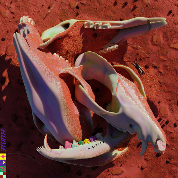 Flume|Rushing Back Flume|Rushing Back