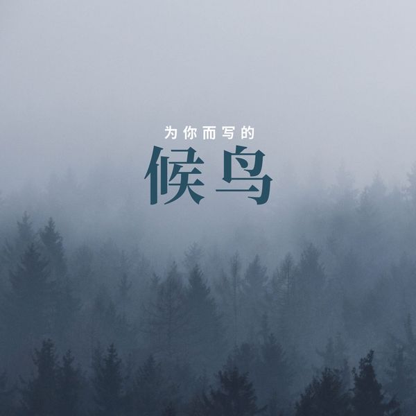 语音表哥 - 候鸟 语音表哥 - 候鸟