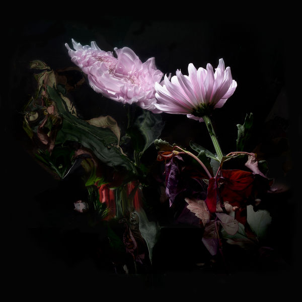 Lo Moon|Loveless (Edit) Lo Moon|Loveless (Edit)