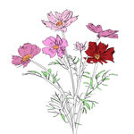 E Ruscha V Music to Watch Seeds Grow By 004: E Ruscha V (Cosmos)