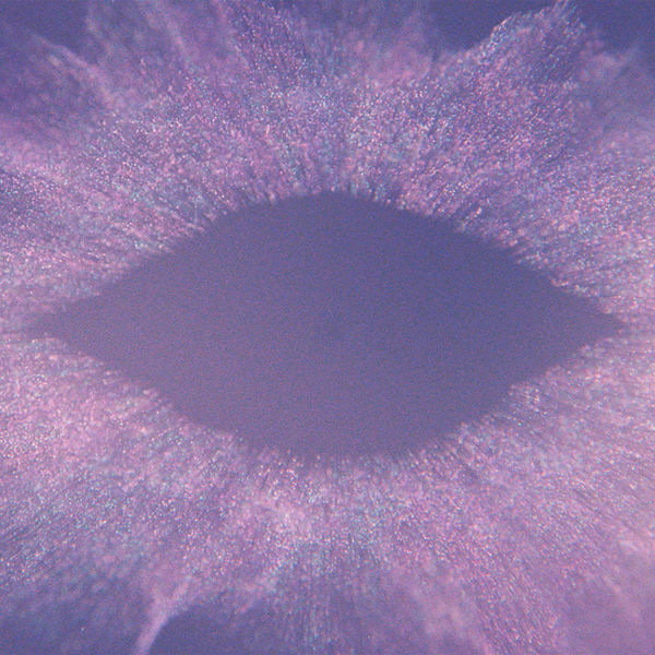 Jon Hopkins|Music For Psychedelic Therapy (Excerpt) Jon Hopkins|Music For Psychedelic Therapy (Excerpt)