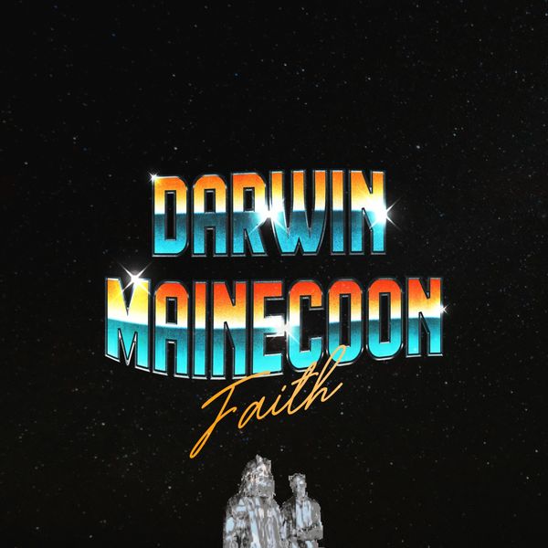 Darwin X Mainecoon - Faith Darwin X Mainecoon - Faith
