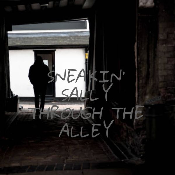 Album Sneakin Sally Through The Alley Various Artists Qobuz Download And Streaming In High Quality
