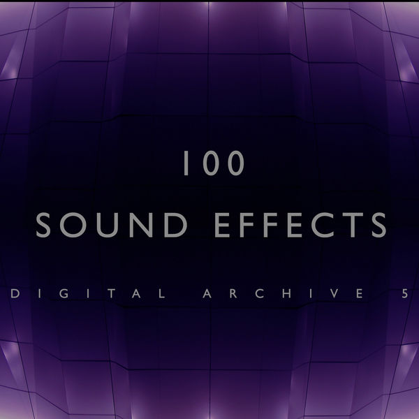 100 Sound Effects Digital Archive 5, The Digital Sound Effects Group ...