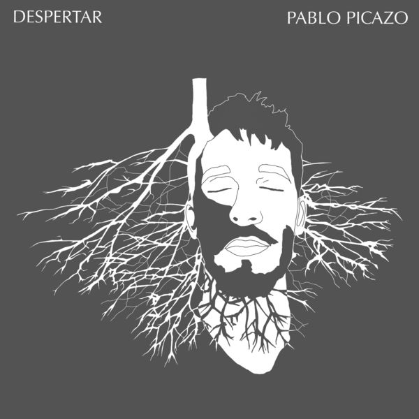 Pablo Picazo - Despertar Pablo Picazo - Despertar