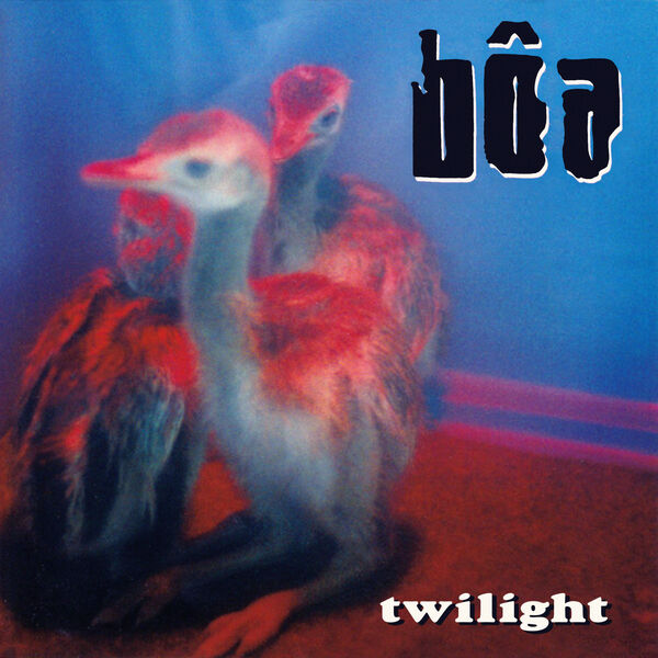 Boa|Twilight Boa|Twilight