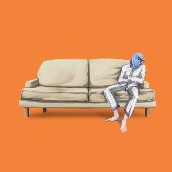 Tippy Toes, Still Pigeon Qobuz