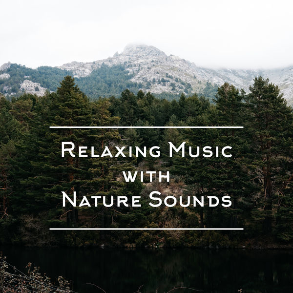 Nature Sounds Relaxation: Music for Sleep, Meditation, Massage Therapy, Spa|Relaxing Music with Nature Sounds: 15 Stress Relief Songs, Calm Background Music, Tranquil Sleep, Morning Meditation