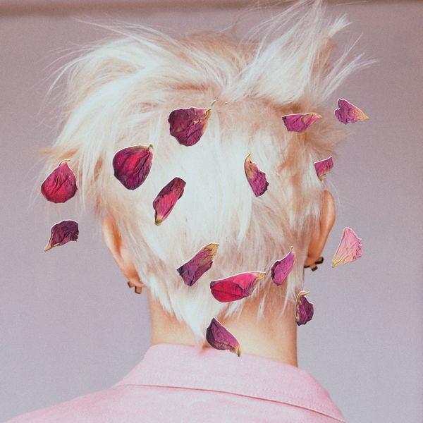 Linda Fredriksson|Pinetree Song Linda Fredriksson|Pinetree Song