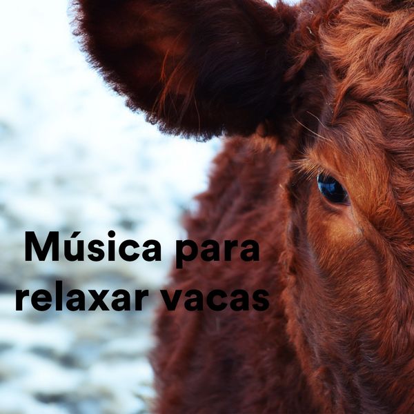 Various Artists|Música Para Relaxar Vacas