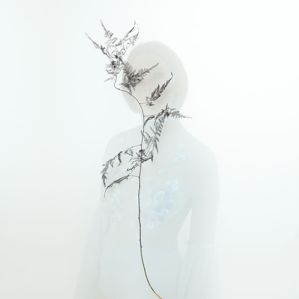 Blanche - EMPIRE Blanche - EMPIRE