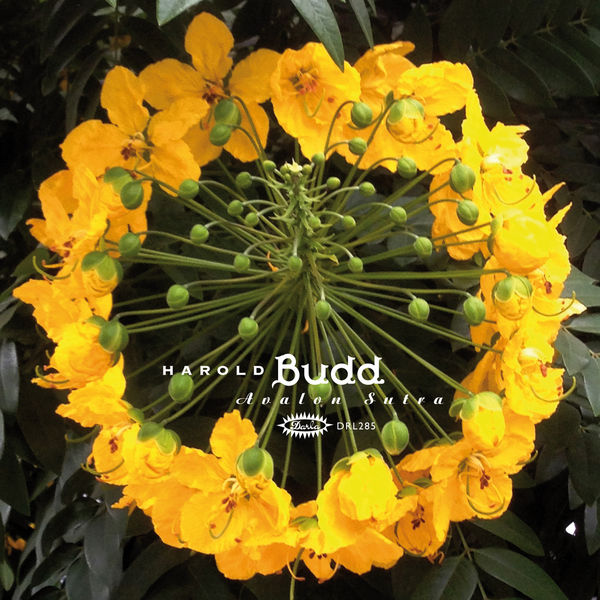 Harold Budd|Avalon Sutra Harold Budd|Avalon Sutra