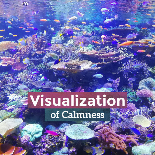 Various Artists - Visualization of Calmness: Chill with Soft Guitar, Hypno Strings, Deserve for Relaxation Various Artists - Visualization of Calmness: Chill with Soft Guitar, Hypno Strings, Deserve for Relaxation