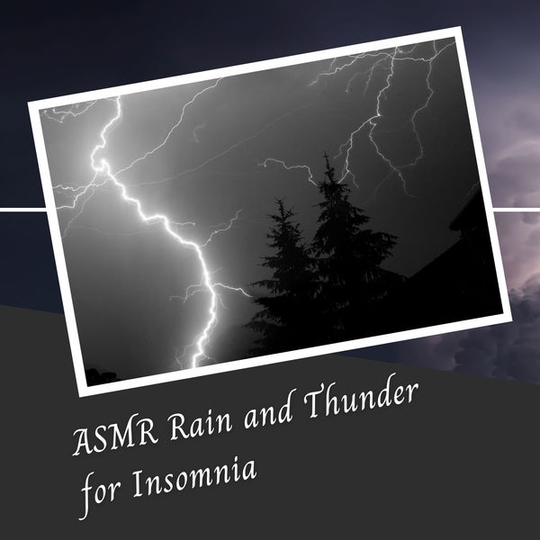 The Rainforest Collective|ASMR Rain and Thunder for Insomnia The Rainforest Collective|ASMR Rain and Thunder for Insomnia