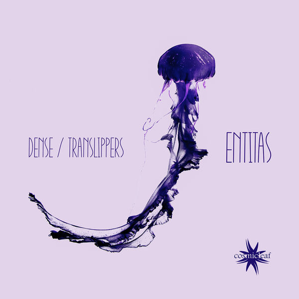 Dense|Entitas