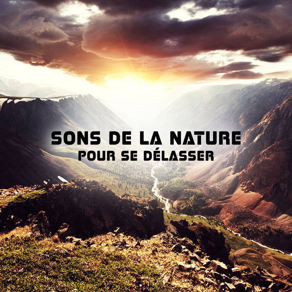 Nature Académie|Sons de la nature pour se délasser - Oiseaux, Vagues de l'ocean, La pluie, Zen spa Nature Académie|Sons de la nature pour se délasser - Oiseaux, Vagues de l'ocean, La pluie, Zen spa
