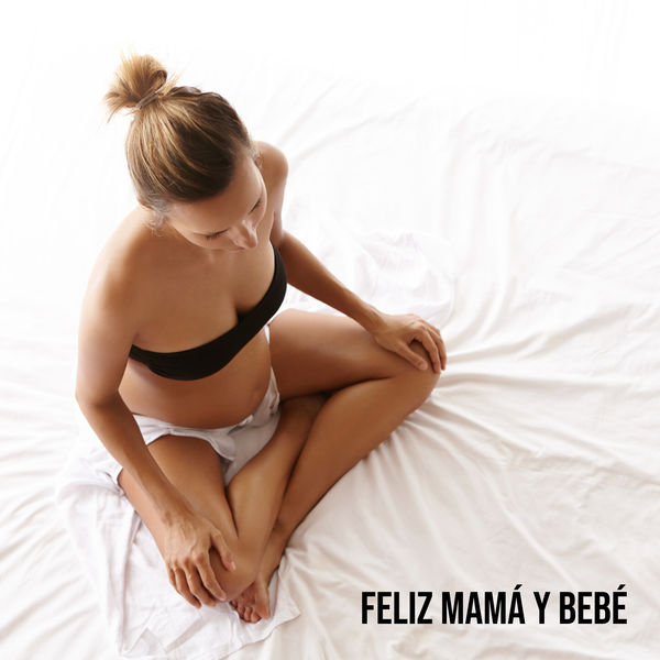 Album Feliz Mama Y Bebe Musica Relajante Para El Embarazo Yoga Prenatal Y Ejercicios De Meditacion Bienestar Emocional Future Mom Music Zone Qobuz Download And Streaming In High Quality