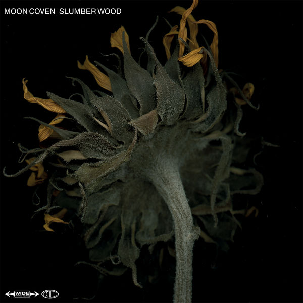Moon Coven - Slumber Wood Moon Coven - Slumber Wood