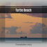 Various Artists Turtle Beach