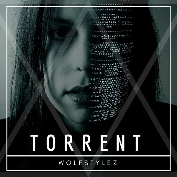 download discography torrent