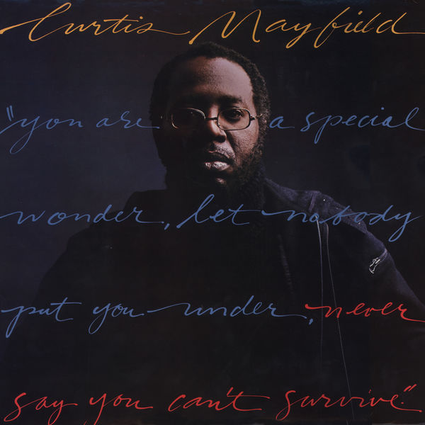 Curtis Mayfield - Never Say You Can't Survive Curtis Mayfield - Never Say You Can't Survive