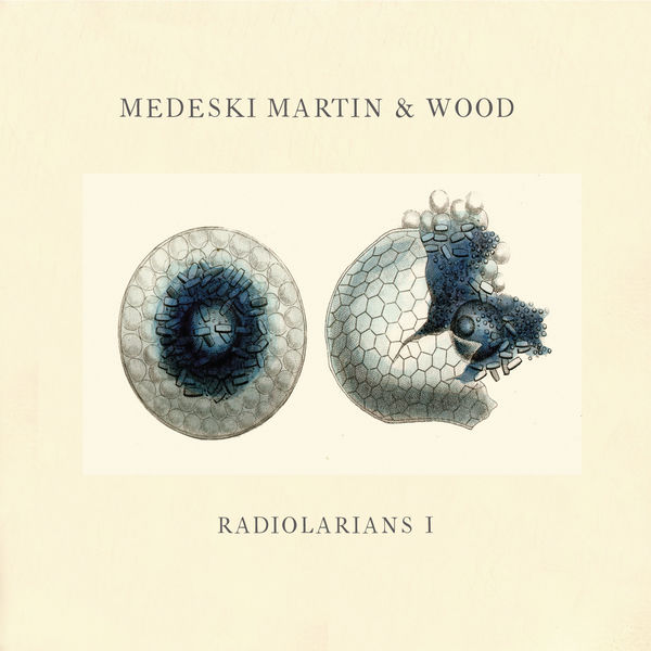 Medeski, Martin & Wood - Radiolarians 1 Medeski, Martin & Wood - Radiolarians 1