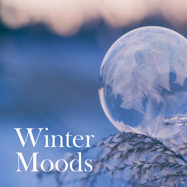 ダニエル・ホープ|Winter Moods