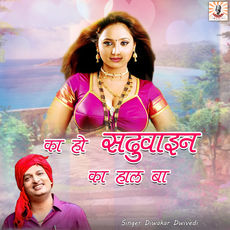 Ka Ho Sadhuain Ka Haal Ba, Diwakar Dwivedi Qobuz