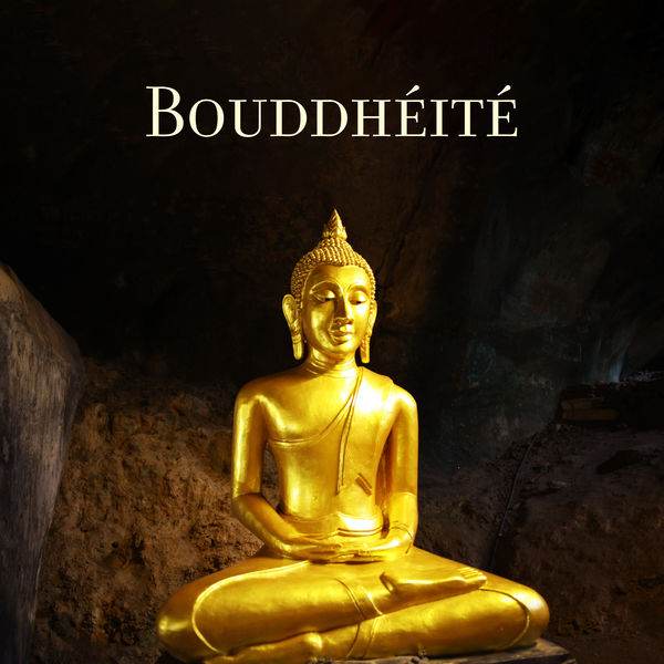 Buddhist méditation académie - Bouddhéité - Esprit calme, méditation silencieuse, contemplation religieuse Buddhist méditation académie - Bouddhéité - Esprit calme, méditation silencieuse, contemplation religieuse