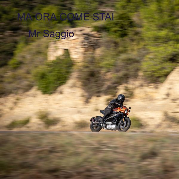 Mr Saggio - Ma ora come stai Mr Saggio - Ma ora come stai