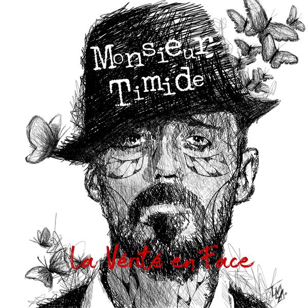 Monsieur Timide - La vérité en face Monsieur Timide - La vérité en face