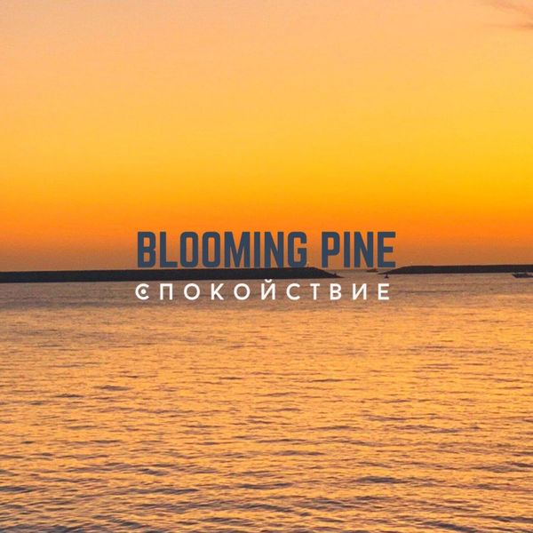 Blooming Pine - спокойствие Blooming Pine - спокойствие
