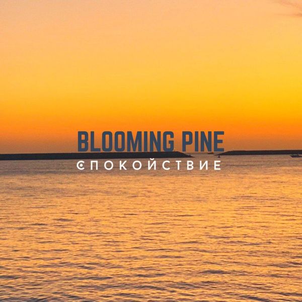 Blooming Pine|спокойствие