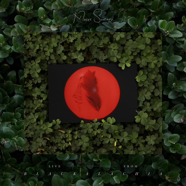 Moses Sumney|Live From Blackalachia Moses Sumney|Live From Blackalachia