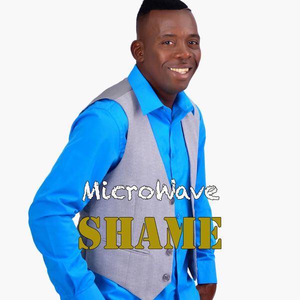 Micro Wave - Shame Micro Wave - Shame