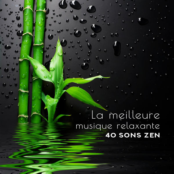 Multi-interprètes|La meilleure musique relaxante - 40 sons zen, Harmonie et bien-être