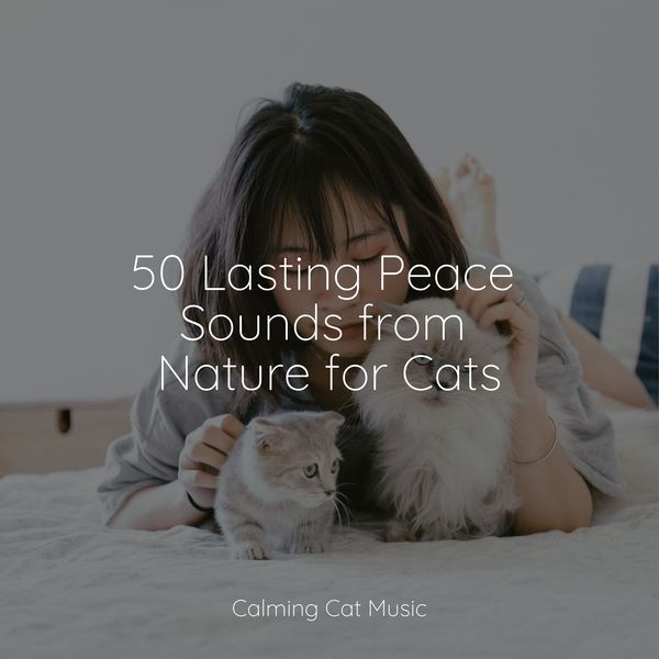 Curated visual reference: Calming Nature Sounds For Cats Reference: 50 Lasting Peace Sounds From Nature For Cats Music For