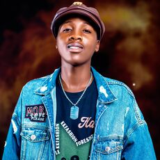 Show Live Tiptop Manzese, Badizo Mc - Qobuz