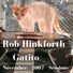 Rob Hinkforth Gatito (November 2007 Sessions)