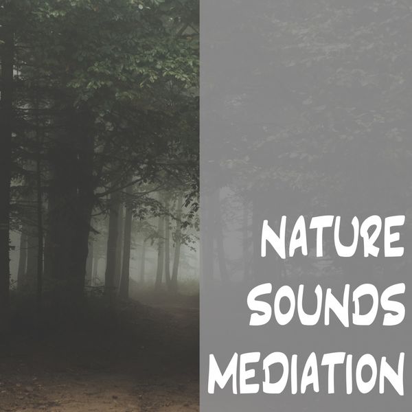 Nature Sounds - Nature Sounds Meditation Nature Sounds - Nature Sounds Meditation