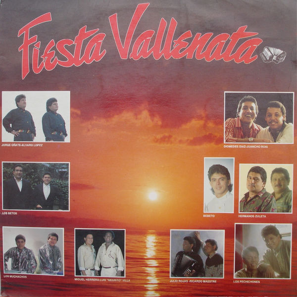 Fiesta Vallenata|Fiesta Vallenata vol. 17 1991