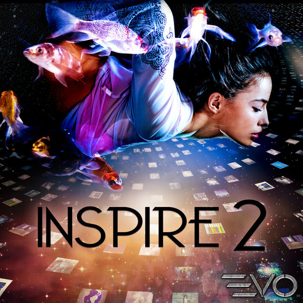 Steve Fawcett - Inspire 2 Steve Fawcett - Inspire 2