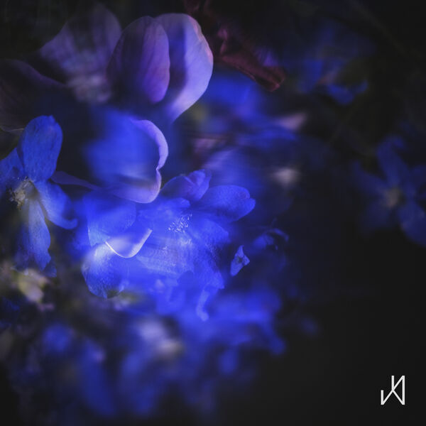 Daigo Hanada|Iris Daigo Hanada|Iris