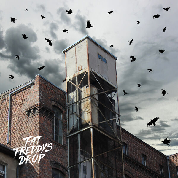 Fat Freddy's Drop|Blackbird Returns