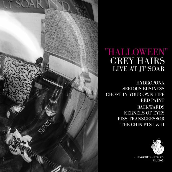 Grey Hairs|"Halloween" - Live at JT Soar (live) Grey Hairs|"Halloween" - Live at JT Soar (live)