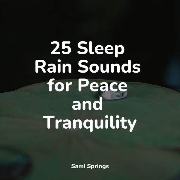 Sonidos De Lluvia y Tormentas|25 Sleep Rain Sounds for Peace and Tranquility