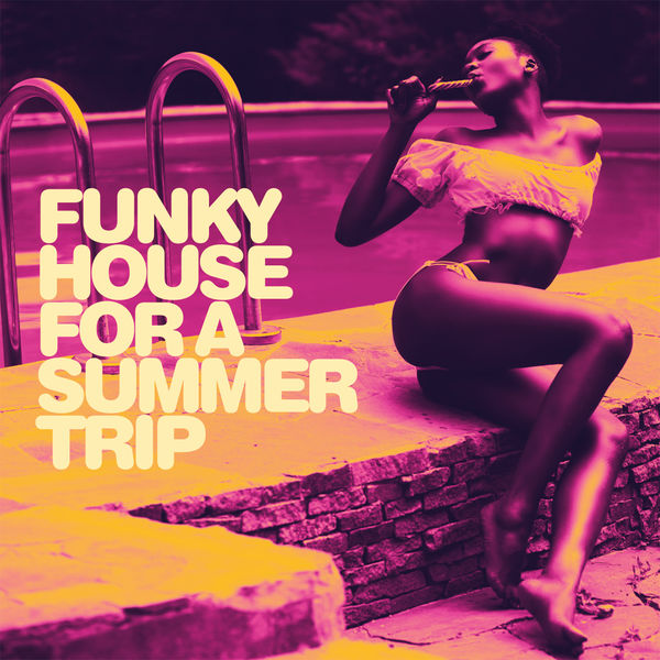 Various Artists|Funky House For a Summer Trip