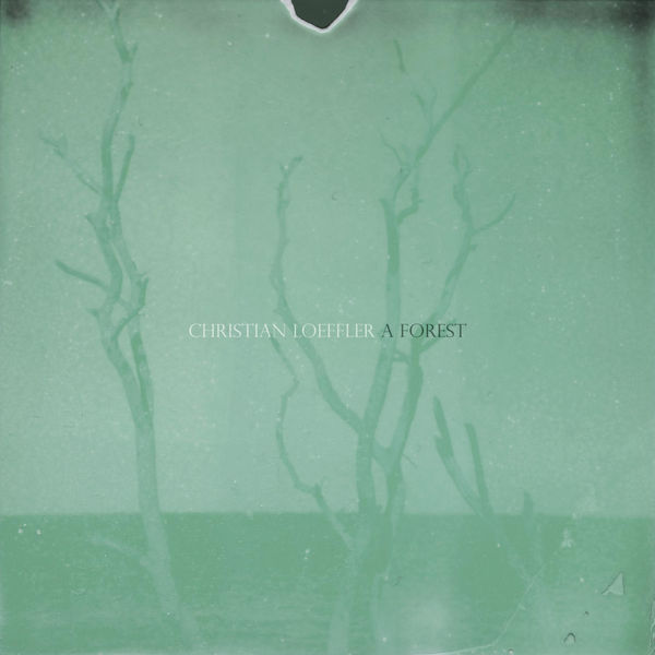 Christian Löffler|A Forest